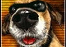 Naughty Dawg